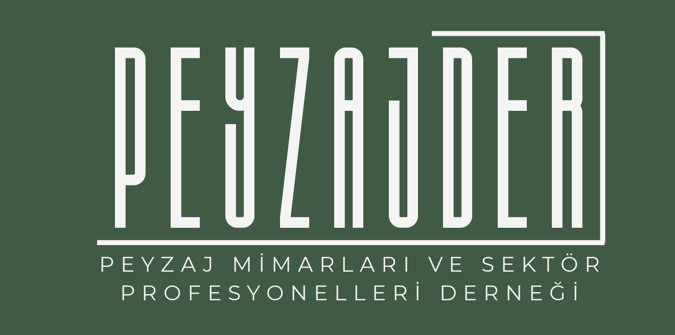 PEYZAJDER